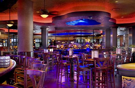 Blue martini fort lauderdale. Things To Know About Blue martini fort lauderdale. 
